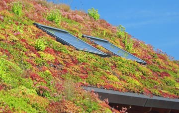 Barnhill living roof systems